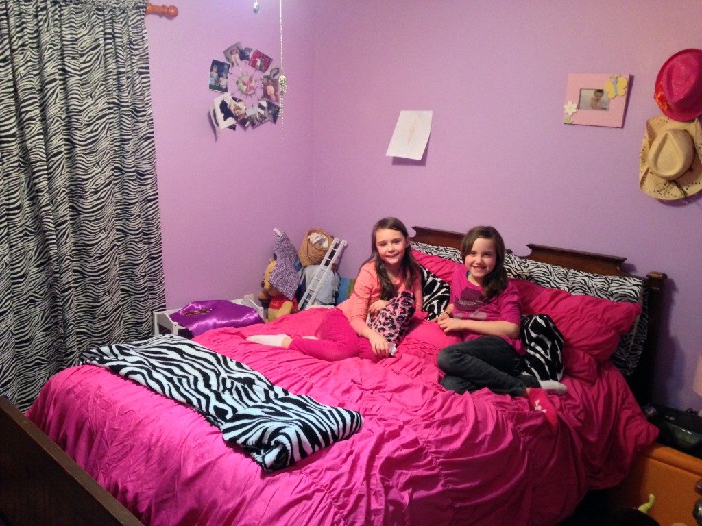 Pink and Zebra Bed