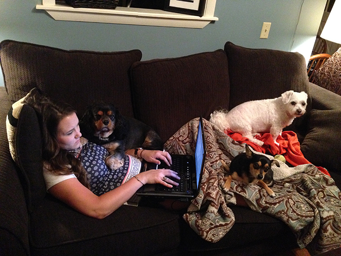 Dogs and working