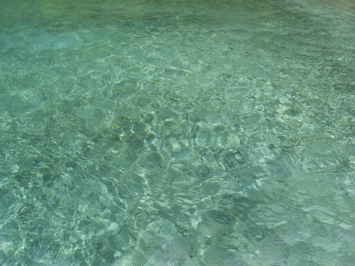 St. Lucia Snorkeling