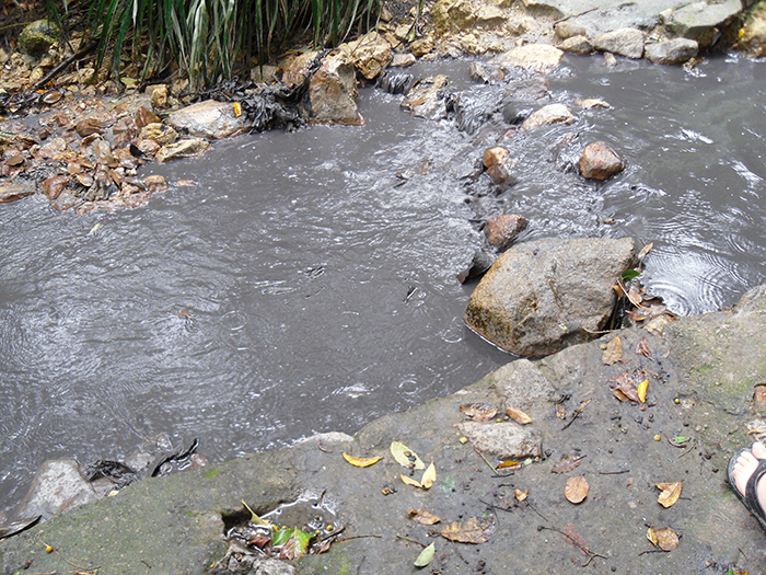 Sulphur Springs Mud Bath St. Lucia