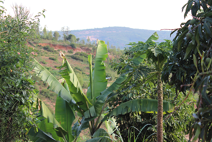 Village Rwanda Africa