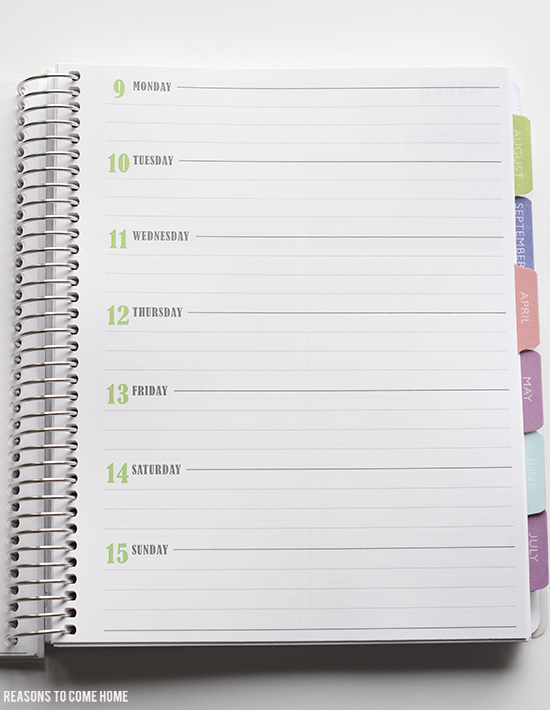 Plum Paper Planner 13