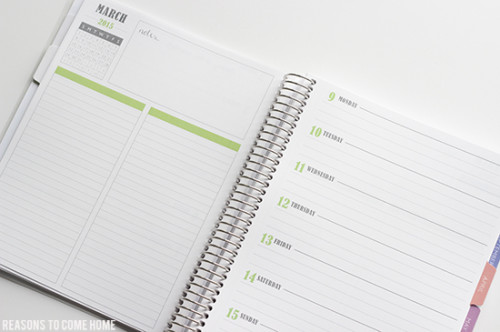 Plum Paper Planner Review