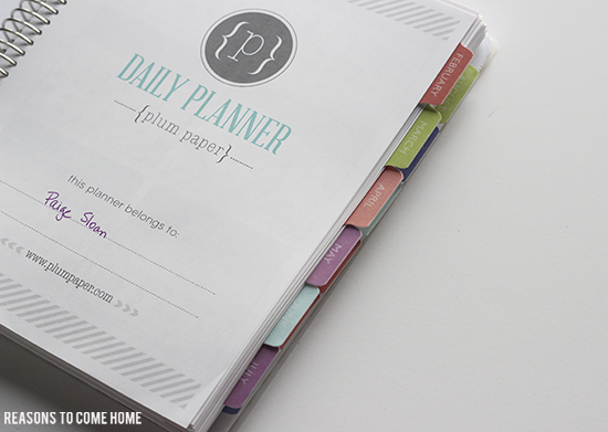 Plum Paper Planner 5