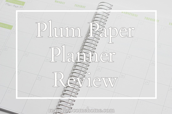Plum Paper Planner Review