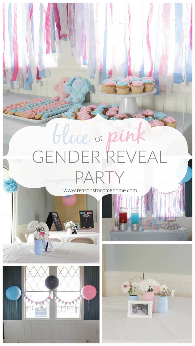 Gender Reveal Cover