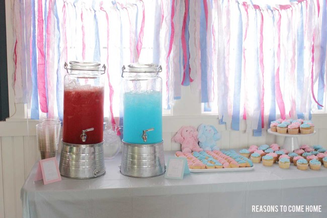 Gender-Reveal-Party-16