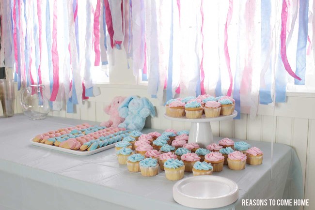 Gender-Reveal-Party-4